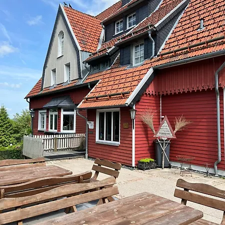 Brockenhexe In Der Brockenhexe